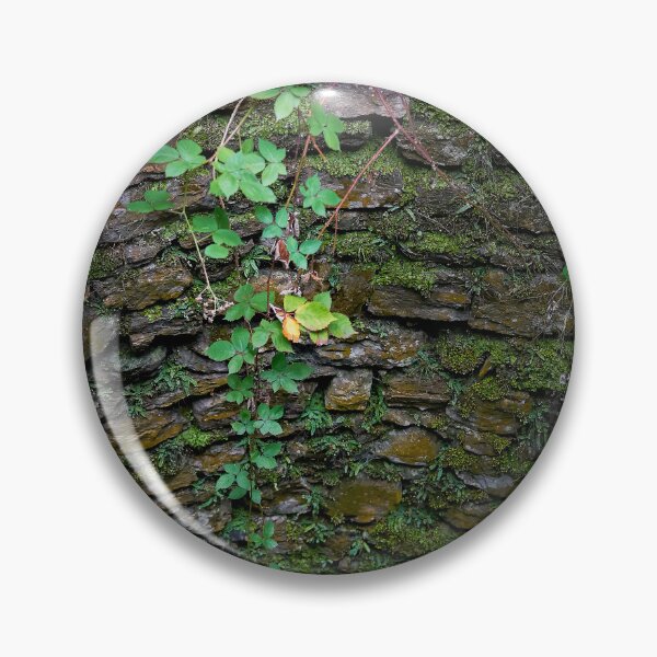 Item preview, Hanging plant decorates the dry stone wall designed and sold by beatbieri.ch.