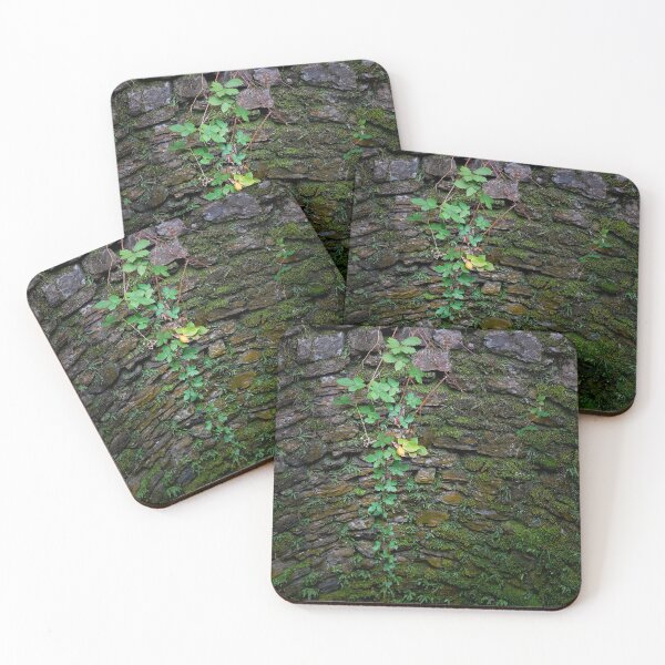 Item preview, Hanging plant decorates the dry stone wall designed and sold by beatbieri.ch.