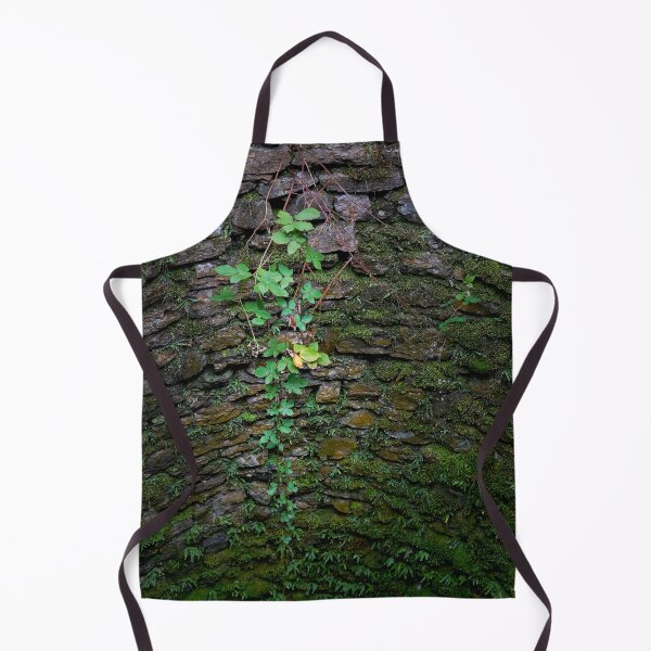 Item preview, Hanging plant decorates the dry stone wall designed and sold by beatbieri.ch.