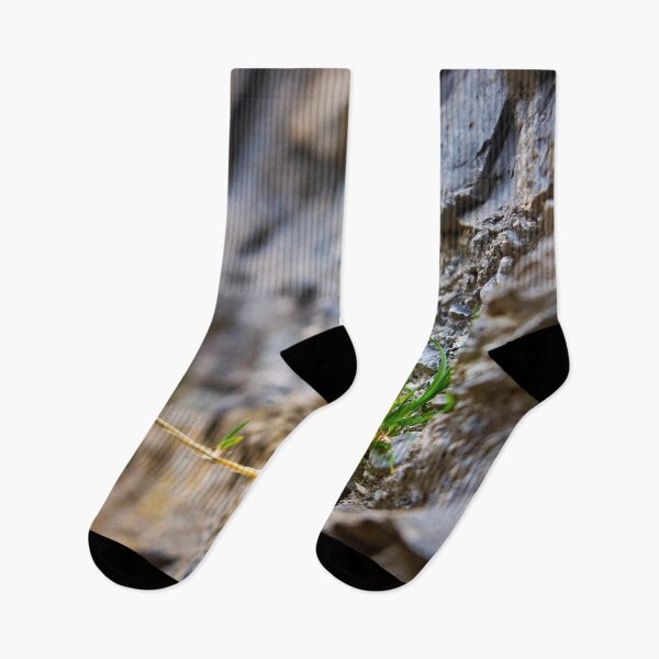 Item preview, Power of nature – plant grows from wall designed and sold by beatbieri.ch.