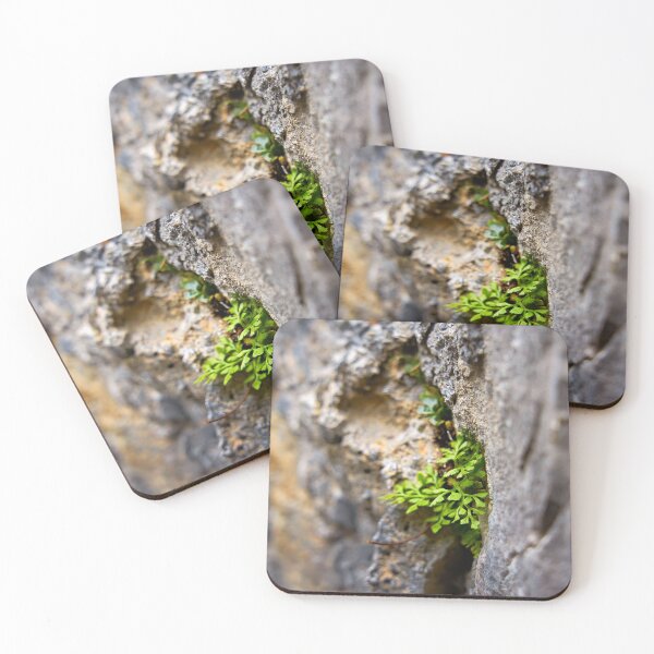Item preview, Power of nature – plant grows from wall designed and sold by beatbieri.ch.