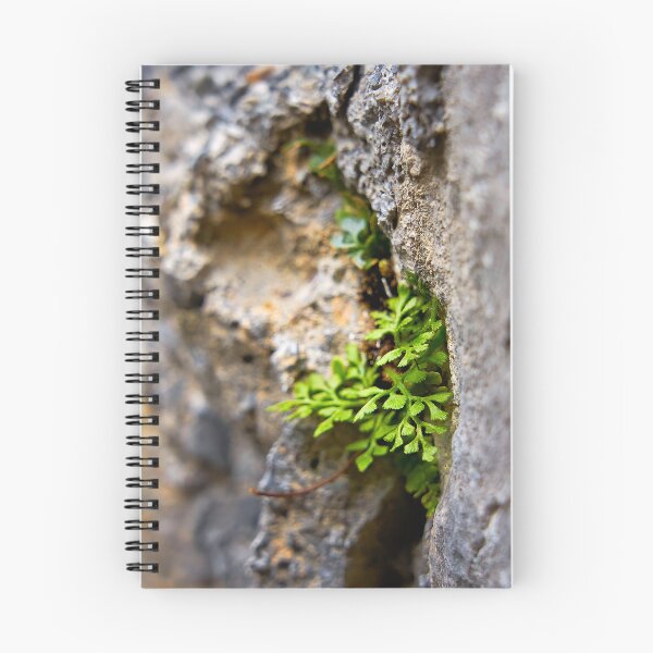 Item preview, Power of nature – plant grows from wall designed and sold by beatbieri.ch.