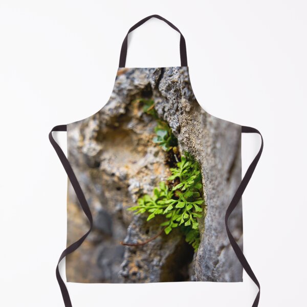 Item preview, Power of nature – plant grows from wall designed and sold by beatbieri.ch.