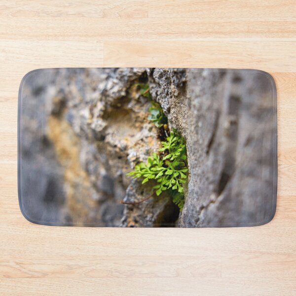 Item preview, Power of nature – plant grows from wall designed and sold by beatbieri.ch.