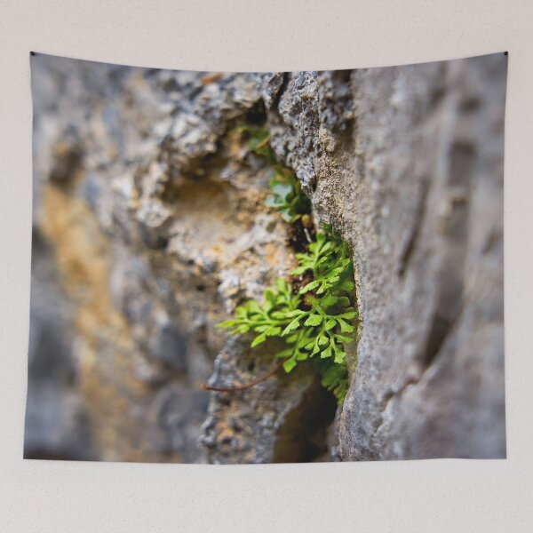 Item preview, Power of nature – plant grows from wall designed and sold by beatbieri.ch.