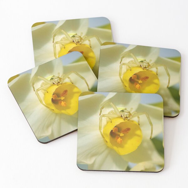 Item preview, Crab spider on the prowl designed and sold by beatbieri.ch.
