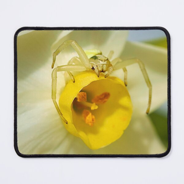 Item preview, Crab spider on the prowl designed and sold by beatbieri.ch.