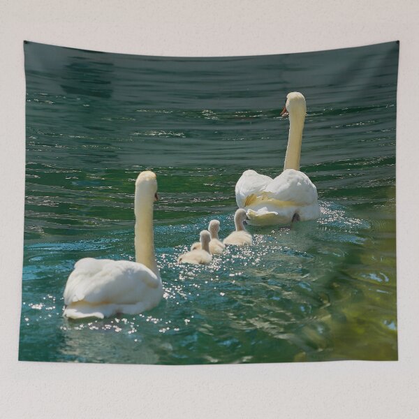 Item preview, Swan family on calm waters designed and sold by beatbieri.ch.