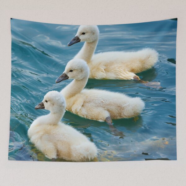 Item preview, Three little swans designed and sold by beatbieri.ch.