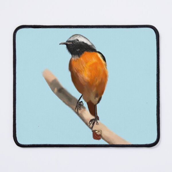 Item preview, Daurian Redstart designed and sold by All about nature.