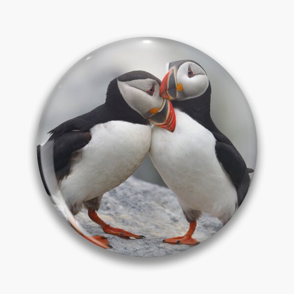 Item preview, Loving Pair of Icelandic Puffins  designed and sold by Just Icelandic.