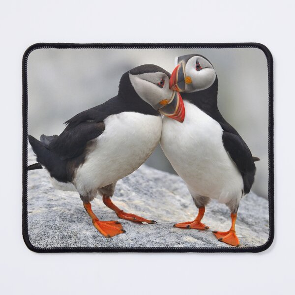 Item preview, Loving Pair of Icelandic Puffins  designed and sold by Just Icelandic.