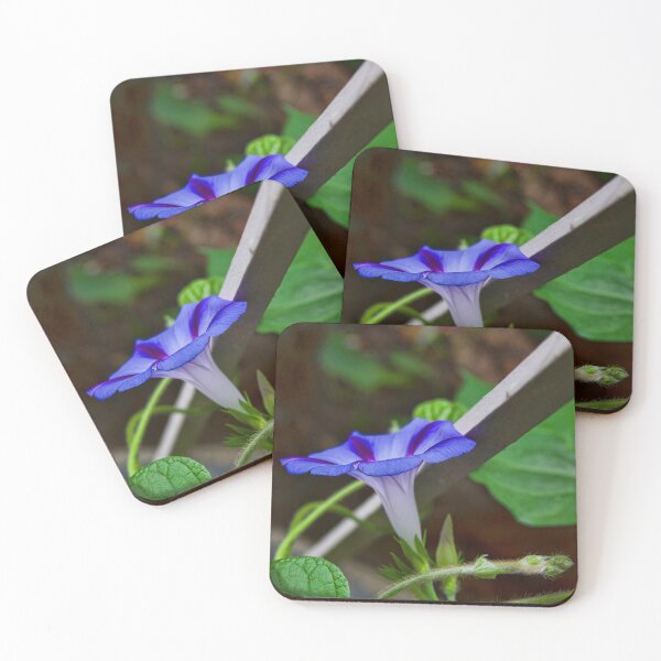 Item preview, Good Morning Glory designed and sold by alanathrower.