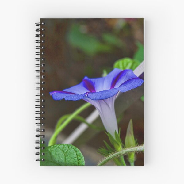 Item preview, Good Morning Glory designed and sold by alanathrower.