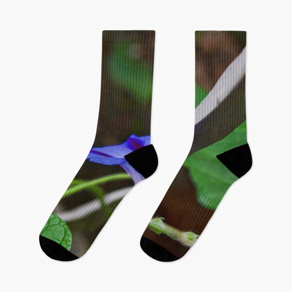 Item preview, Good Morning Glory designed and sold by alanathrower.