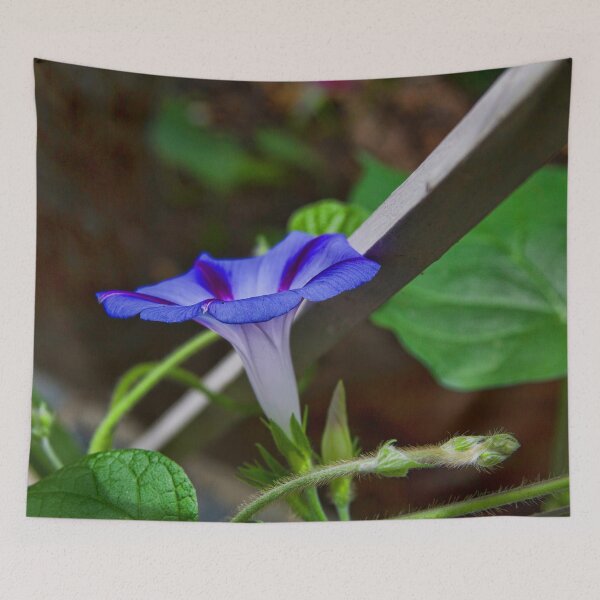 Item preview, Good Morning Glory designed and sold by alanathrower.