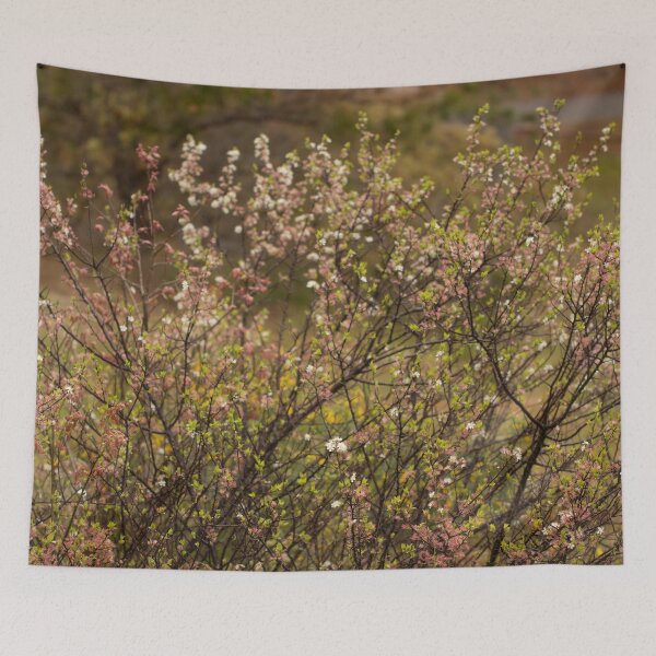 Item preview, Spring Florals: Beach Plum designed and sold by Mass Monumentalist.