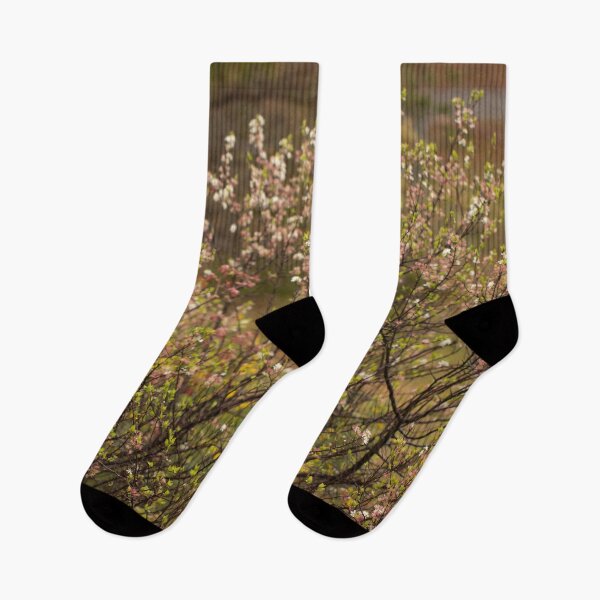 Item preview, Spring Florals: Beach Plum designed and sold by Mass Monumentalist.