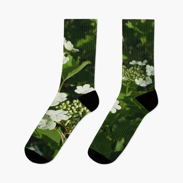 Item preview, Lightening the shadows. Guelder-rose designed and sold by Jouko Lehto Photography.