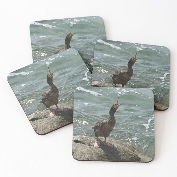 Item preview, Where's my fish? designed and sold by Paul Pasco.