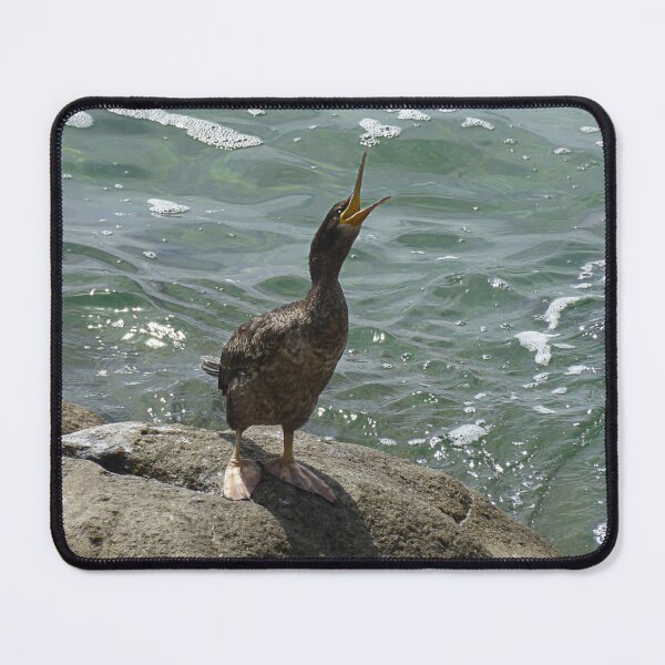 Item preview, Where's my fish? designed and sold by Paul Pasco.