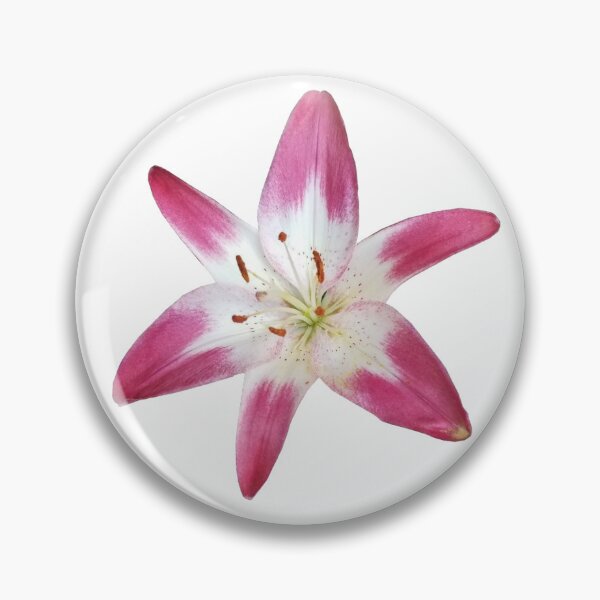 Item preview, pink and white lily flower sticker designed and sold by inainart.