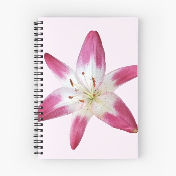 Item preview, pink and white lily flower sticker designed and sold by inainart.
