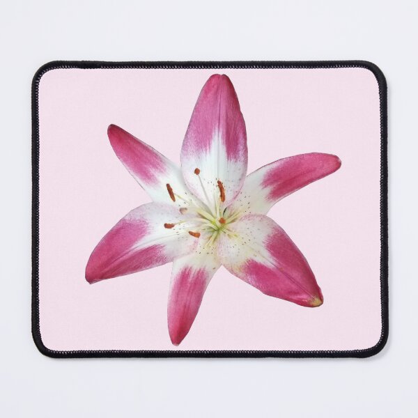 Item preview, pink and white lily flower sticker designed and sold by inainart.
