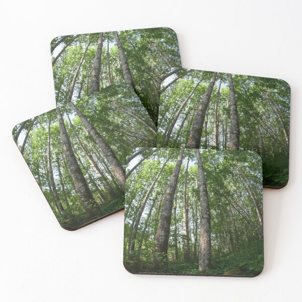 Item preview, Aspen sky designed and sold by Jouko Lehto Photography.