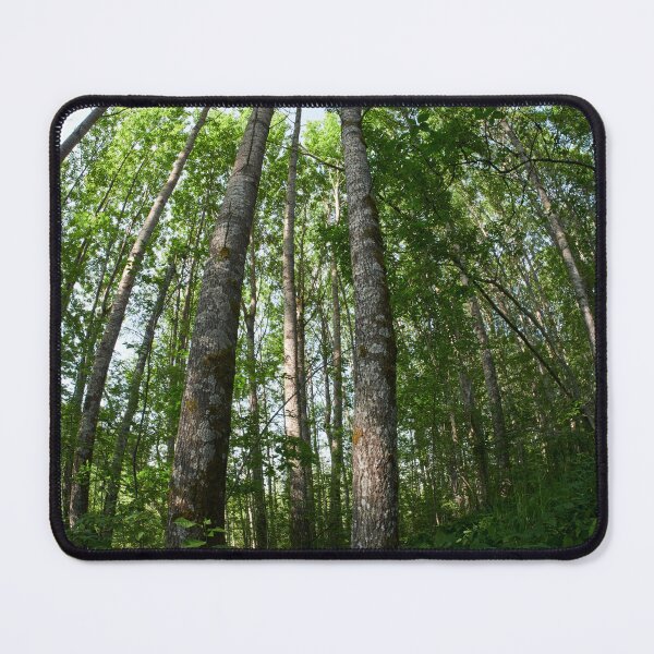 Item preview, Aspen sky designed and sold by Jouko Lehto Photography.