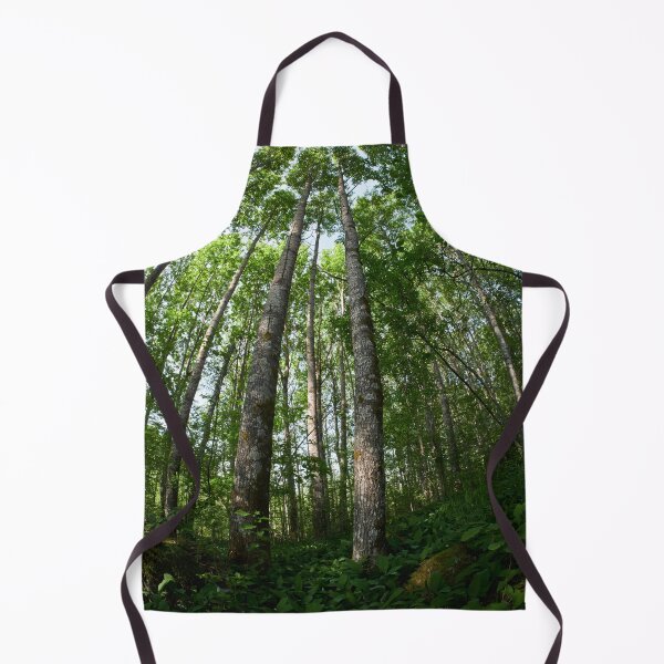 Item preview, Aspen sky designed and sold by Jouko Lehto Photography.