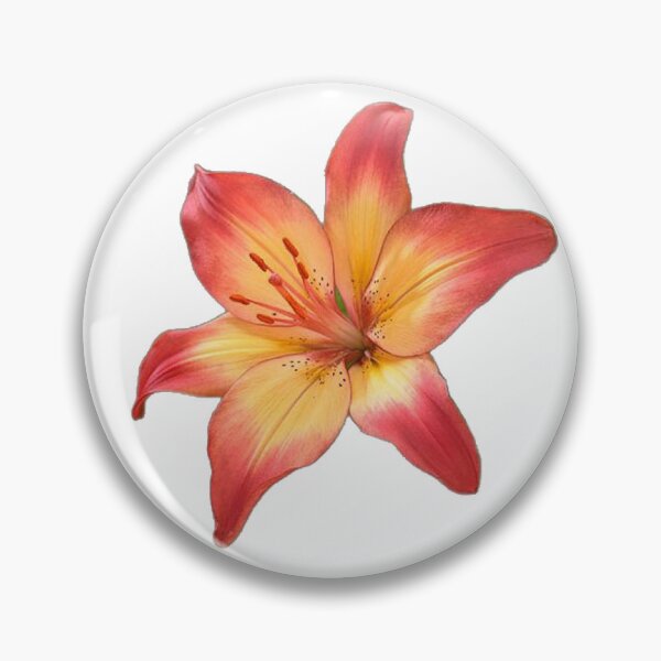 Item preview, red orange yellow lily flower sticker designed and sold by inainart.