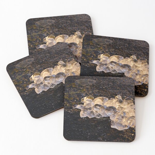 Item preview, Natural art made of ice designed and sold by beatbieri.ch.