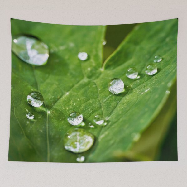 Item preview, Raindrops on a green leaf designed and sold by beatbieri.ch.