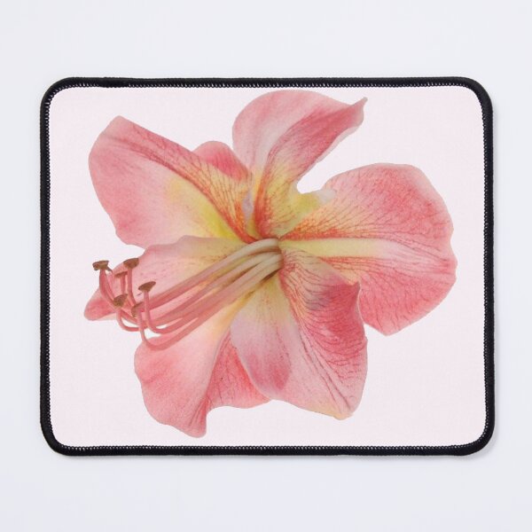 Item preview, pink hibiscus flower sticker designed and sold by inainart.
