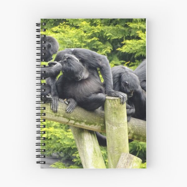Item preview, monkey business up to no good print designed and sold by Jenzer83.