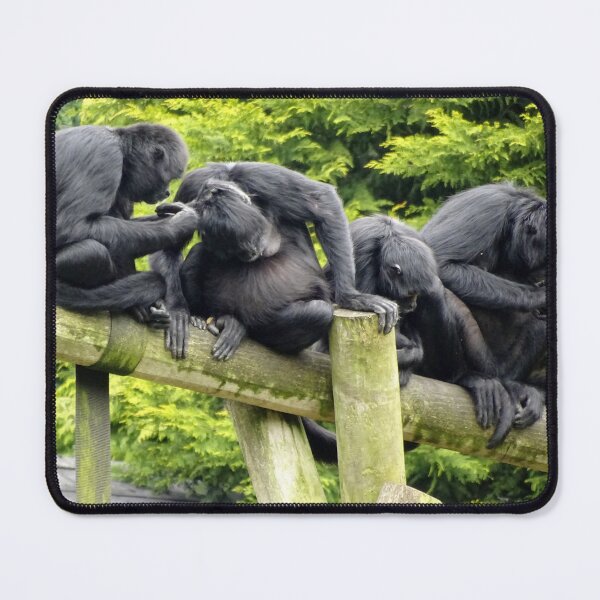 Item preview, monkey business up to no good print designed and sold by Jenzer83.