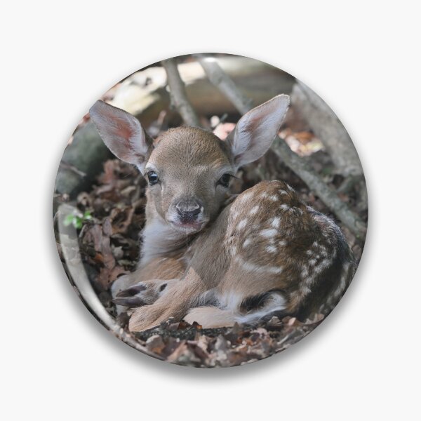 Item preview, Tiny Camouflaged Fawn designed and sold by ClaireChown.