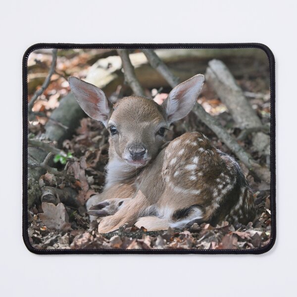 Item preview, Tiny Camouflaged Fawn designed and sold by ClaireChown.