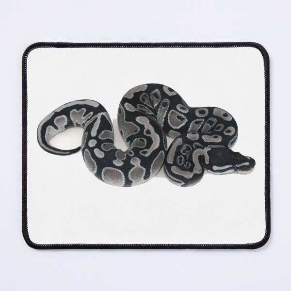 Item preview, snake ball python sticker designed and sold by inainart.
