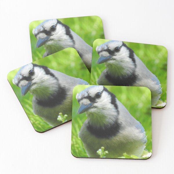 Item preview, Blue Jay Portrait designed and sold by priesterjen.