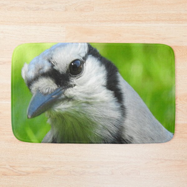 Item preview, Blue Jay Portrait designed and sold by priesterjen.