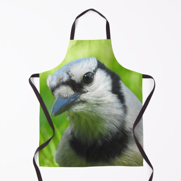 Item preview, Blue Jay Portrait designed and sold by priesterjen.