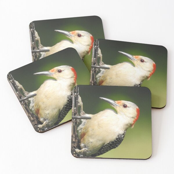 Item preview, Red-bellied Woodpecker on Birdfeeder designed and sold by priesterjen.