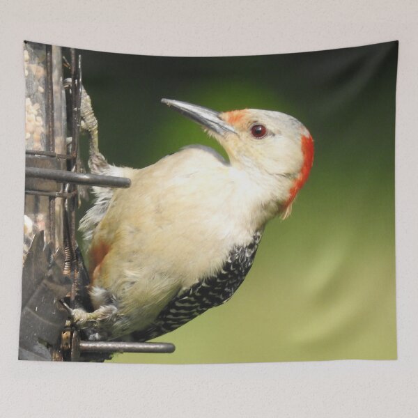 Item preview, Red-bellied Woodpecker on Birdfeeder designed and sold by priesterjen.