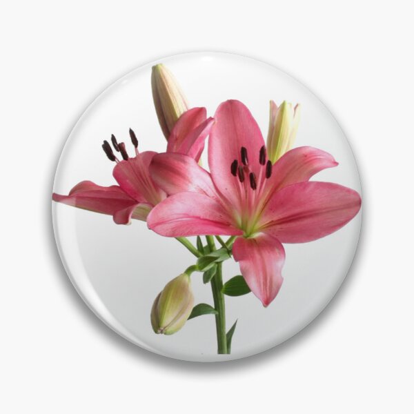 Item preview, pink lilies flower sticker designed and sold by inainart.