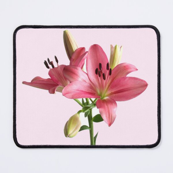 Item preview, pink lilies flower sticker designed and sold by inainart.