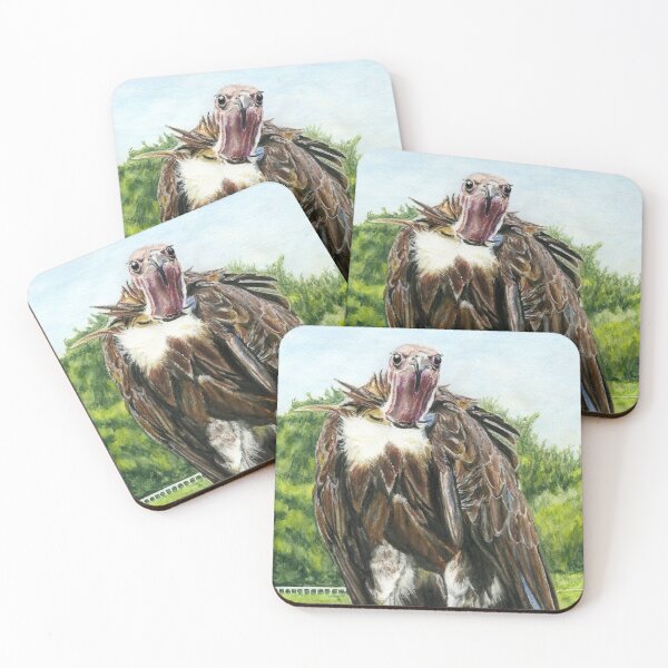 Item preview, Gonzo the Hooded Vulture at the Lake District Wildlife Park near Bassenthwaite, Cumbria designed and sold by LymphomaLass.