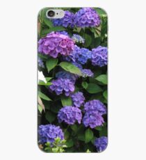 Blue Beauties - Hydrangea Blossoms iPhone-Hülle & Cover