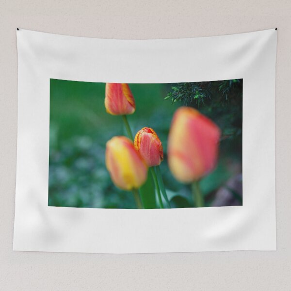 Item preview, Closed tulip in yellow-orange – spring flower photography designed and sold by timoboyken.
